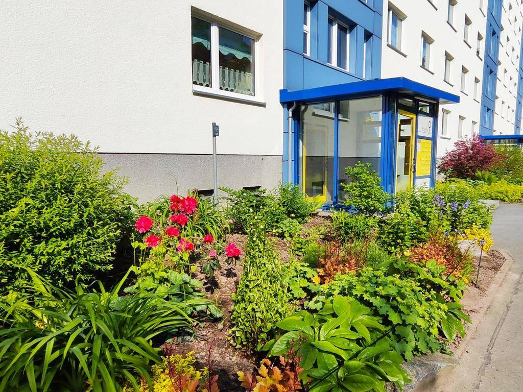 Bild 8