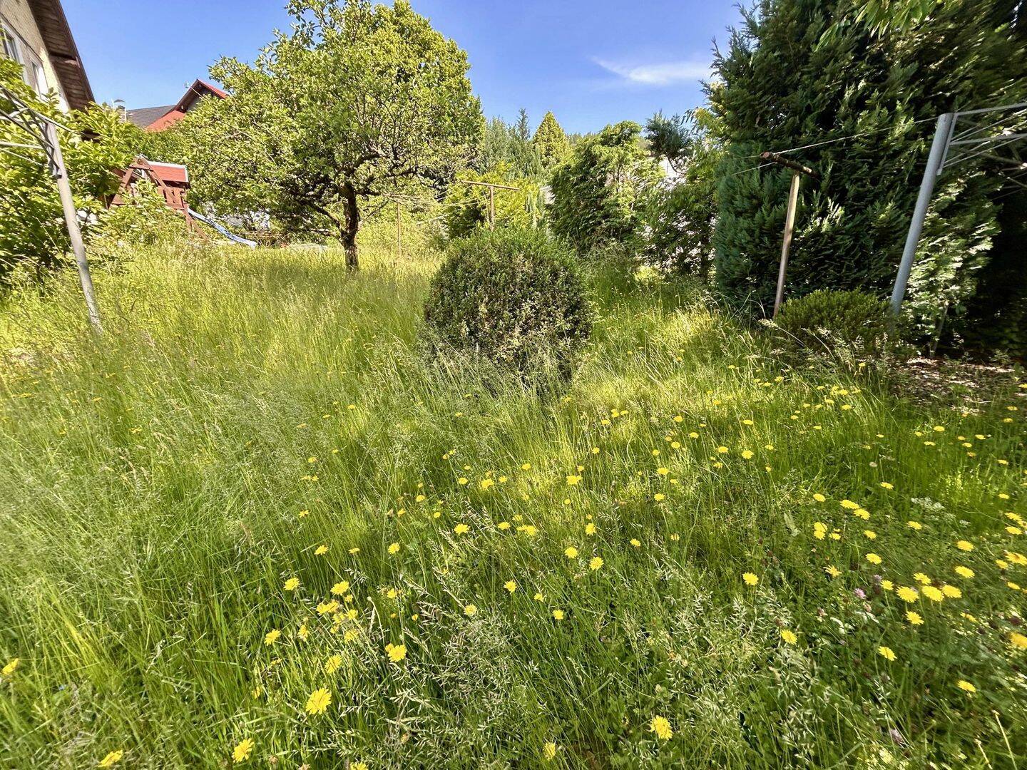 Bild 14