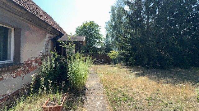 Bild 14