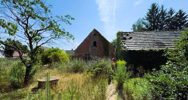 Bild 15