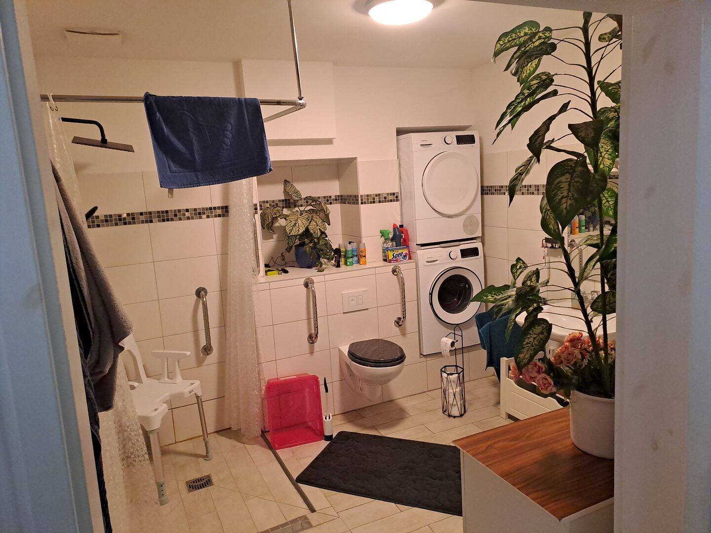 Bild 6