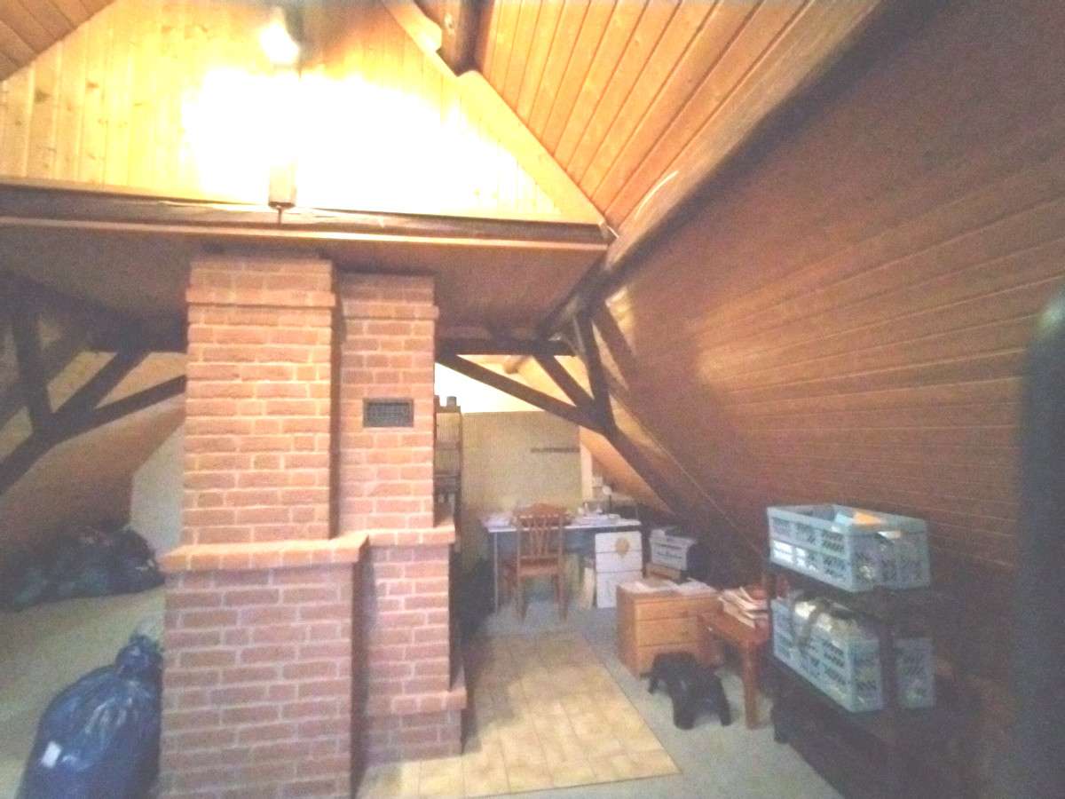 Bild 11