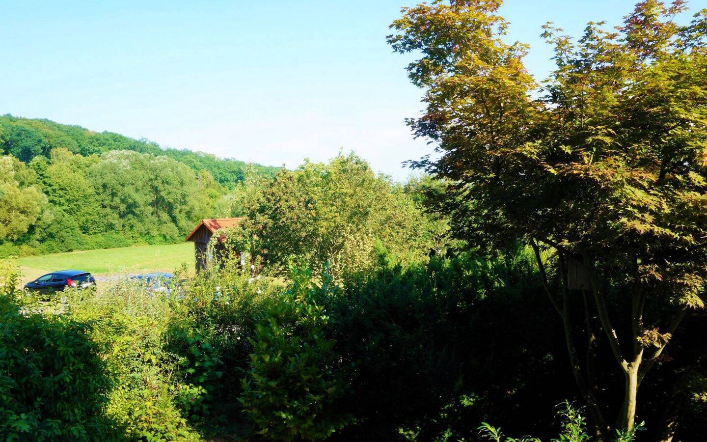 Bild 8