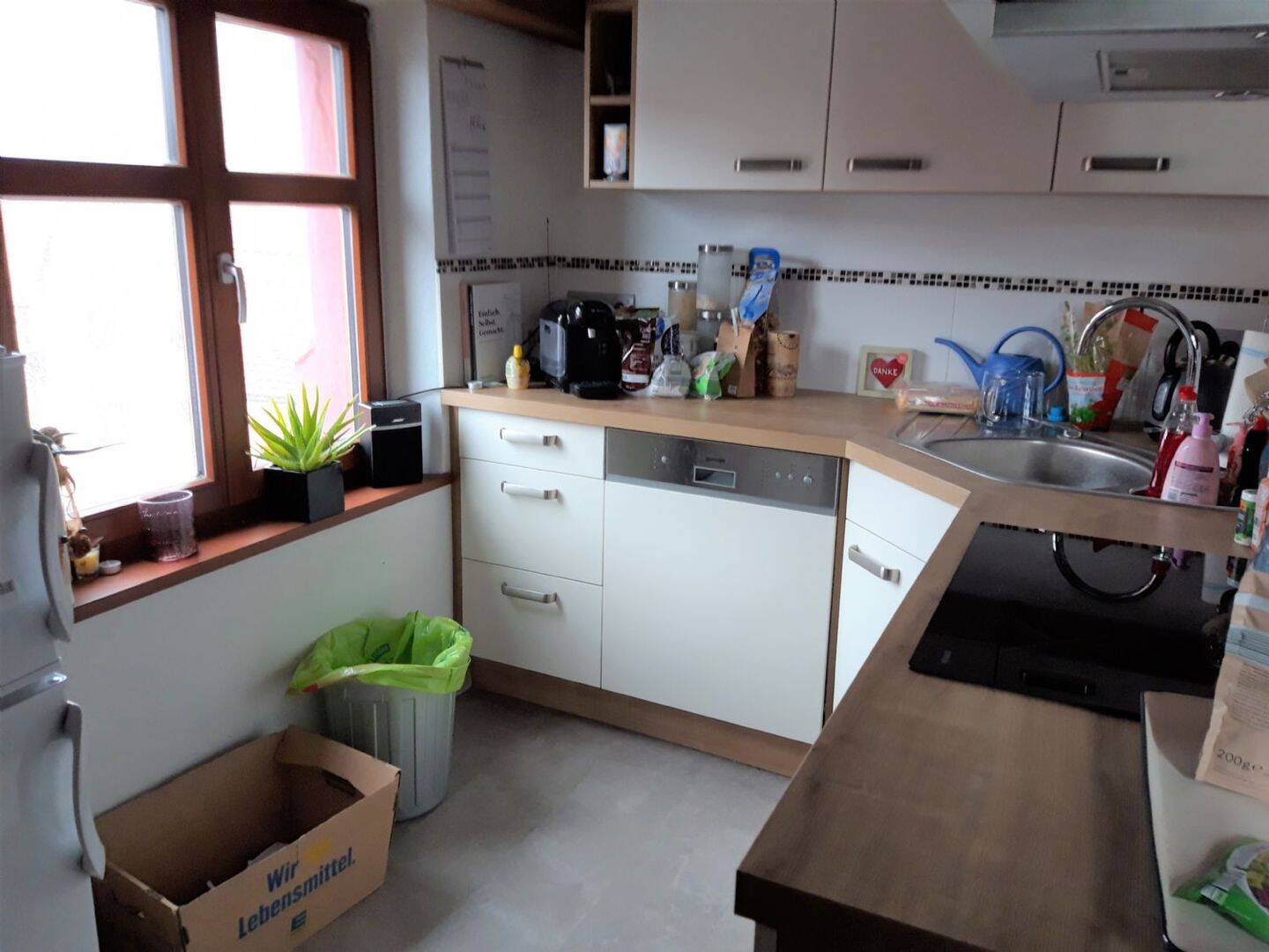 Bild 12