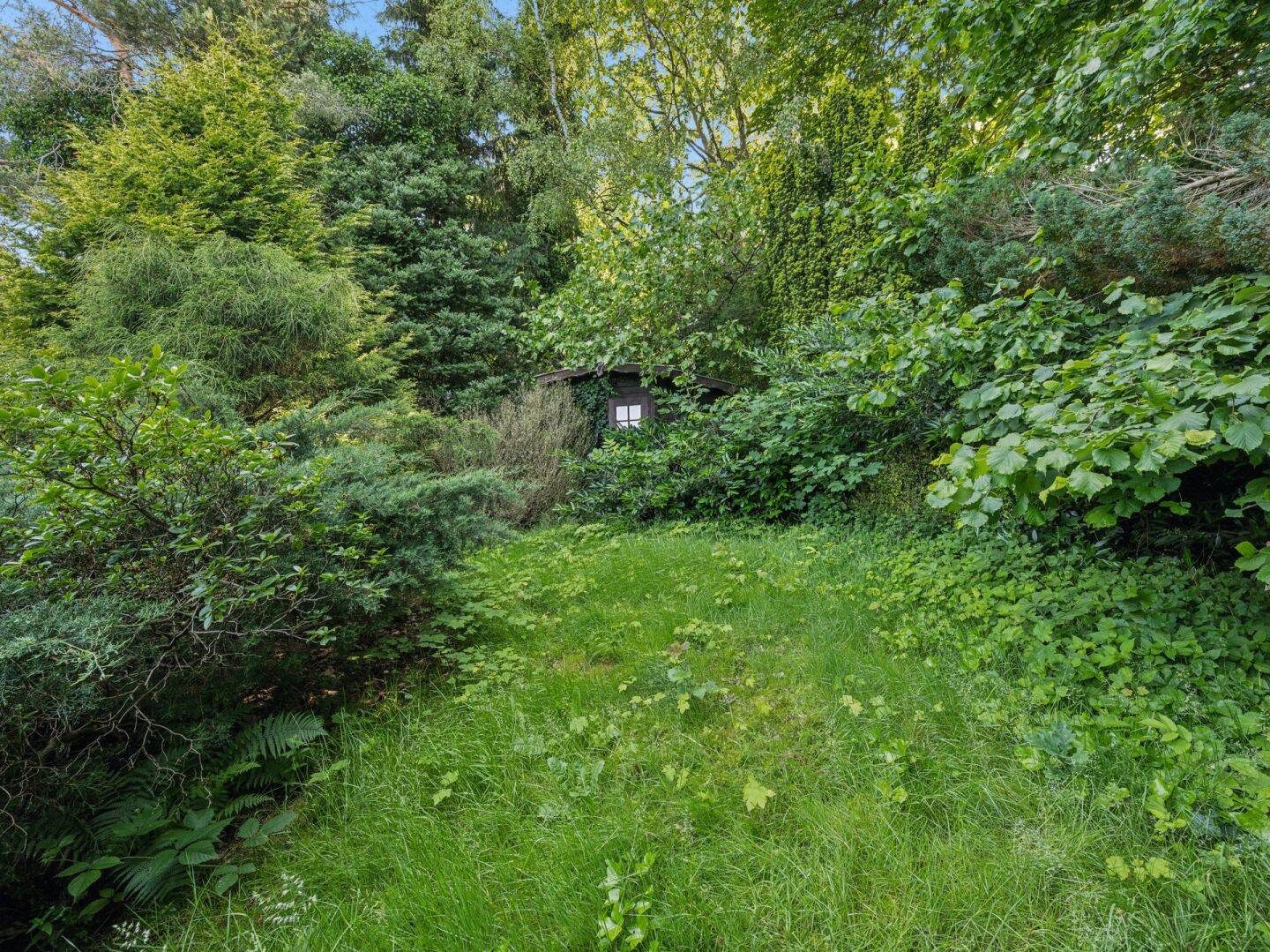 Bild 7
