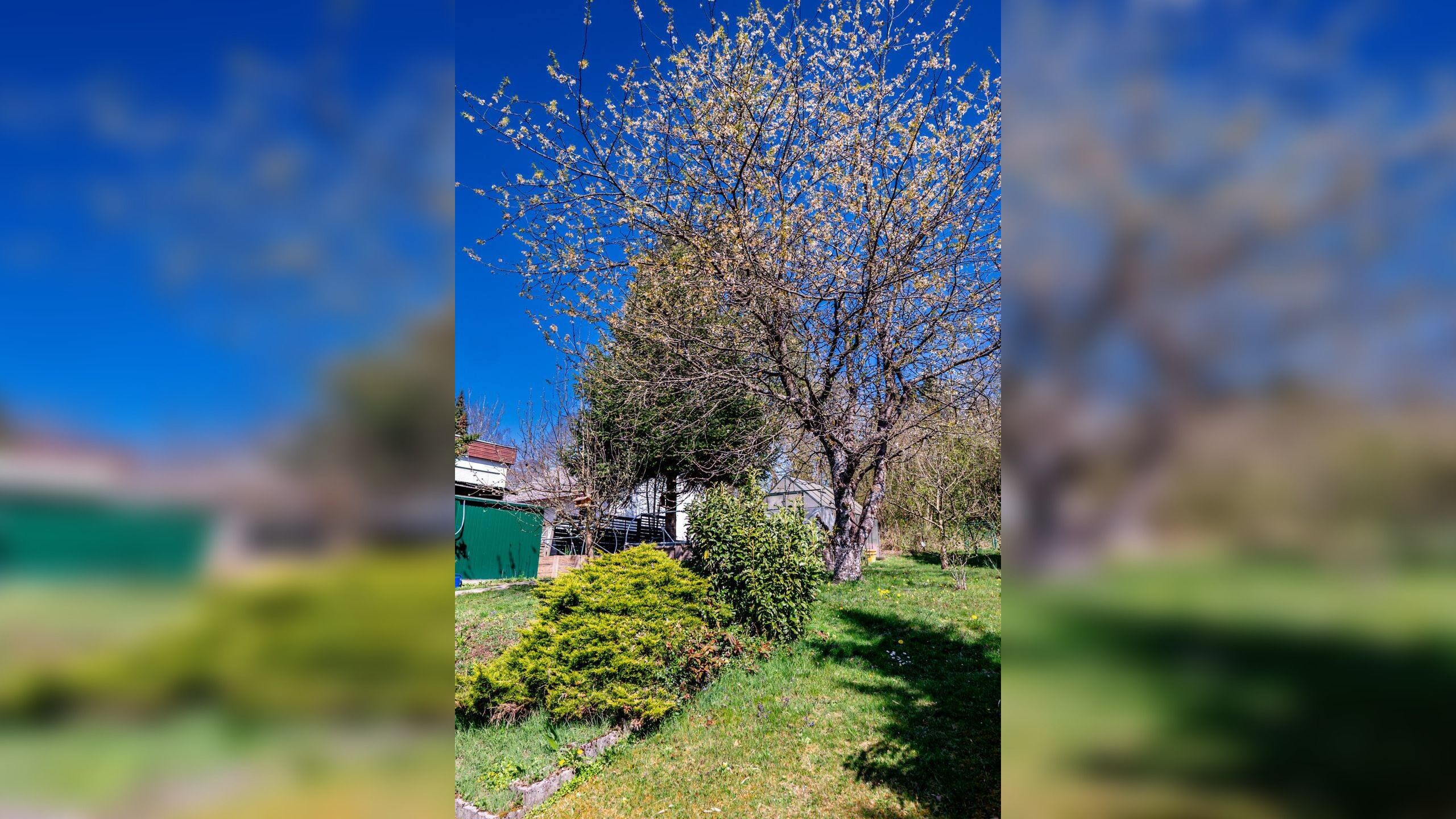 Bild 10