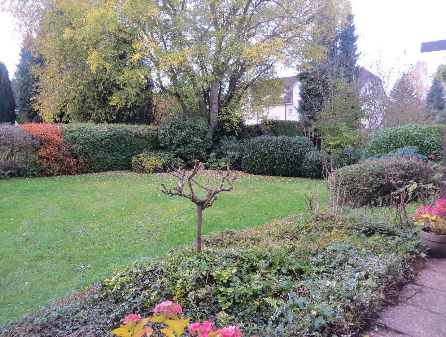 Bild 8