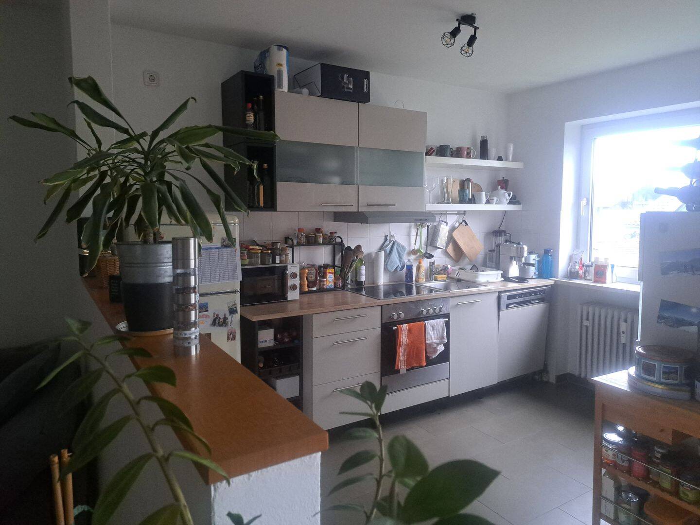 Bild 3