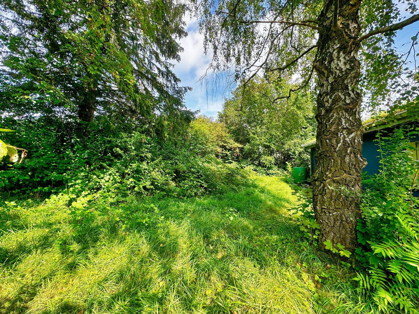 Bild 8