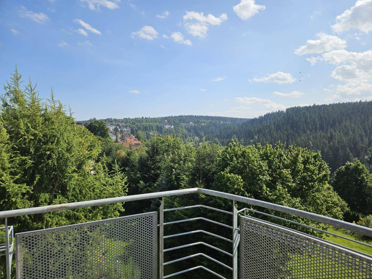 Bild 12