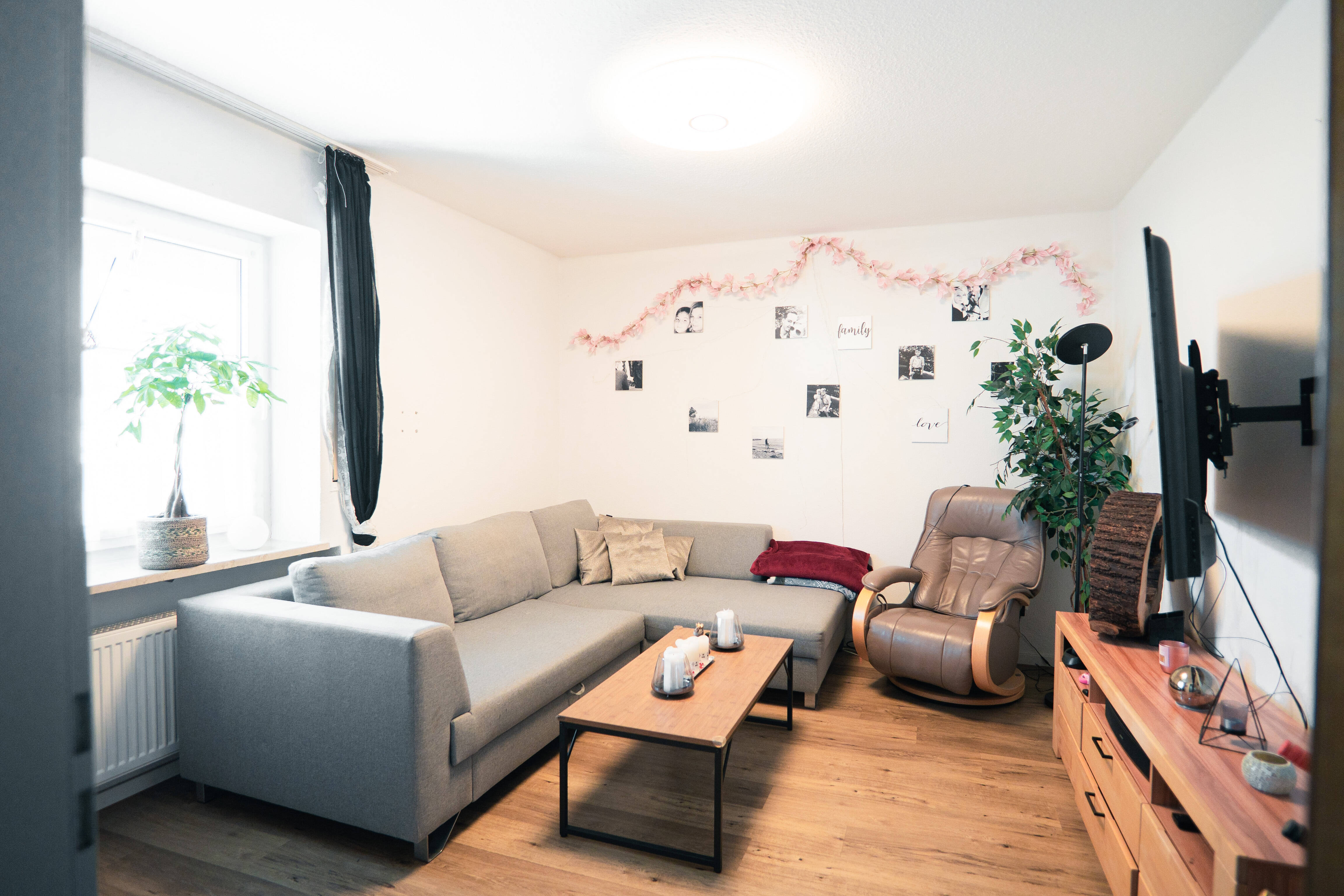 Bild 15