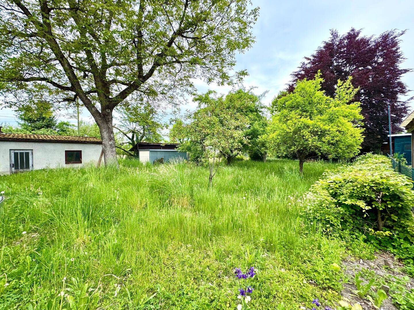 Bild 11