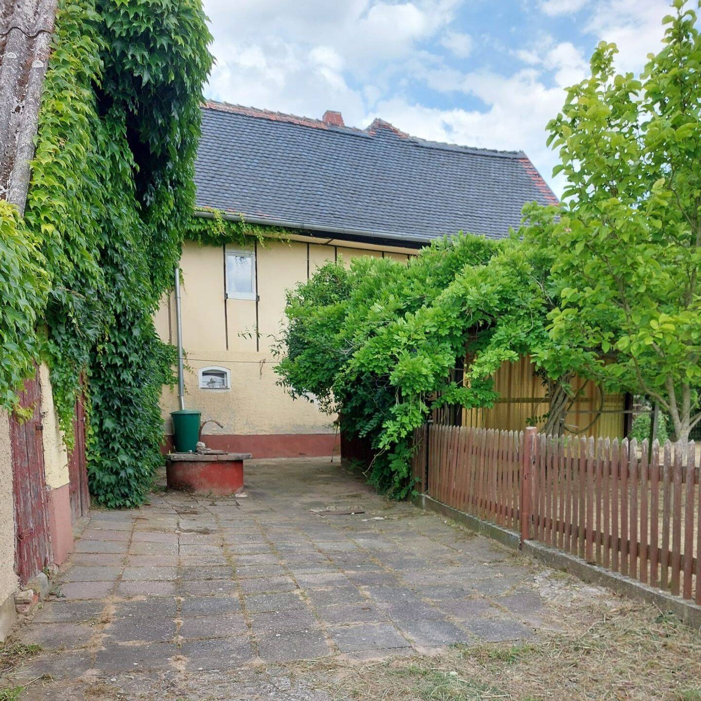 Bild 5
