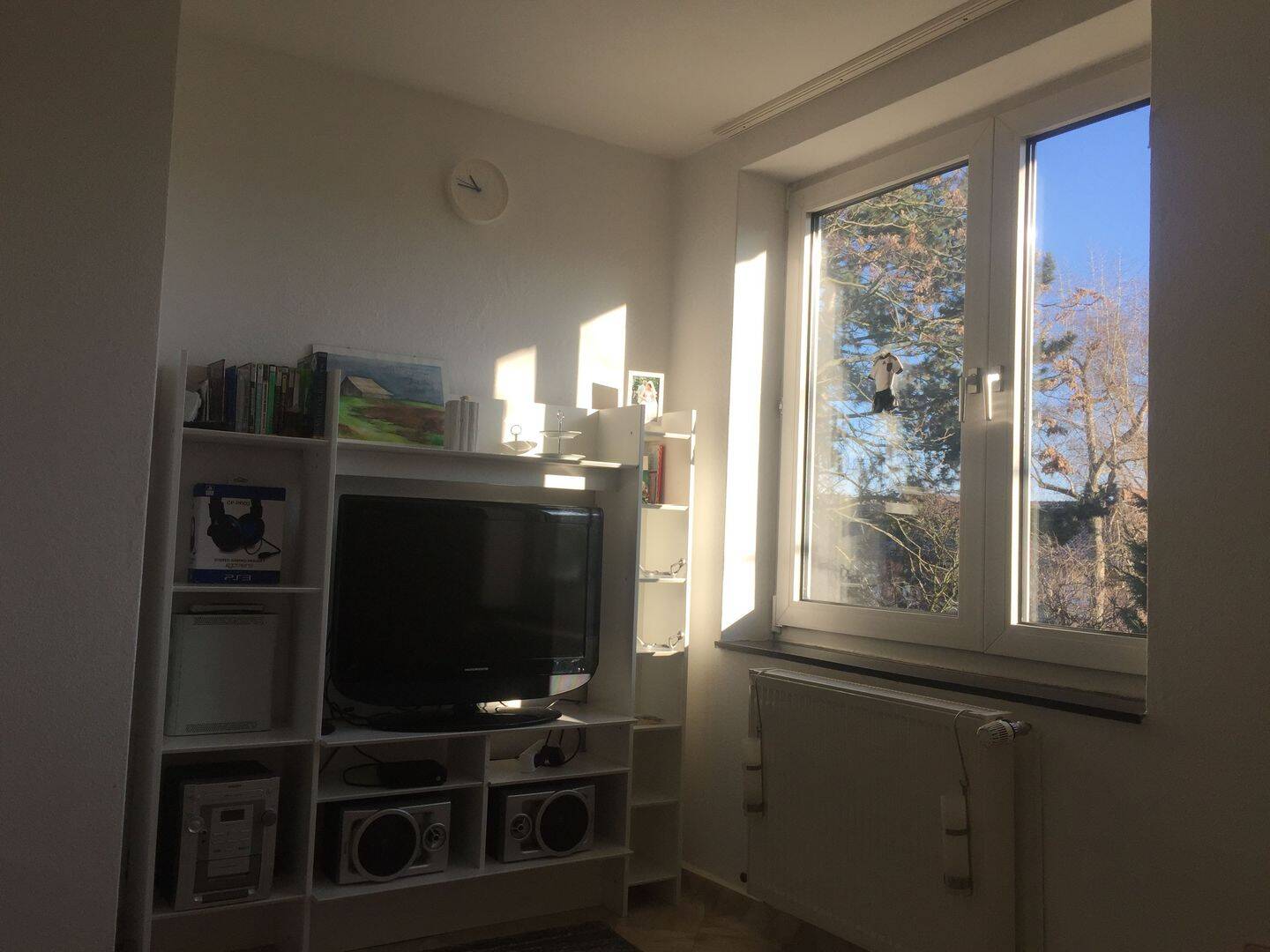 Bild 5