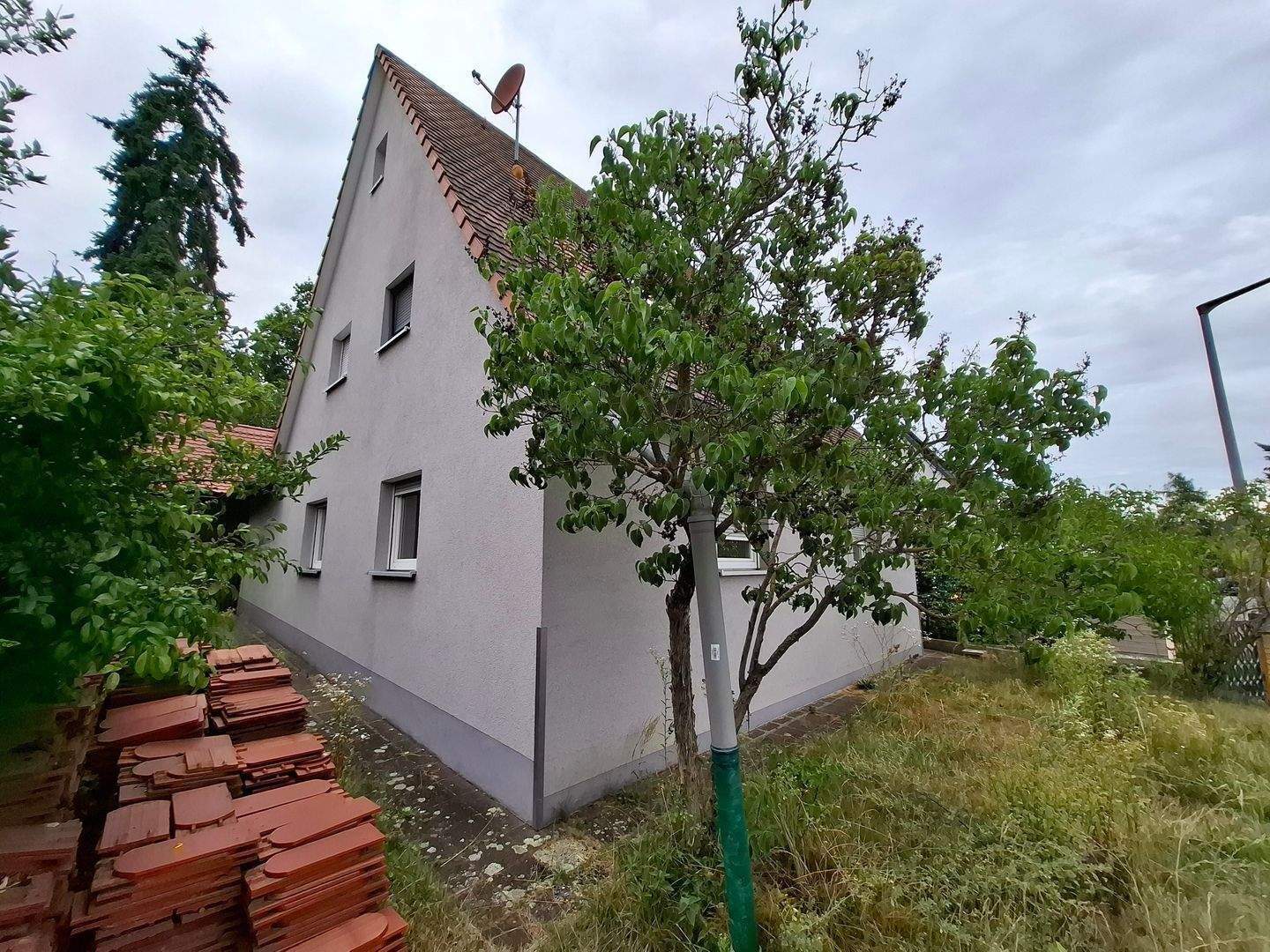 Bild 7