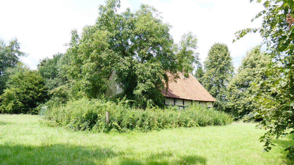 Bild 10