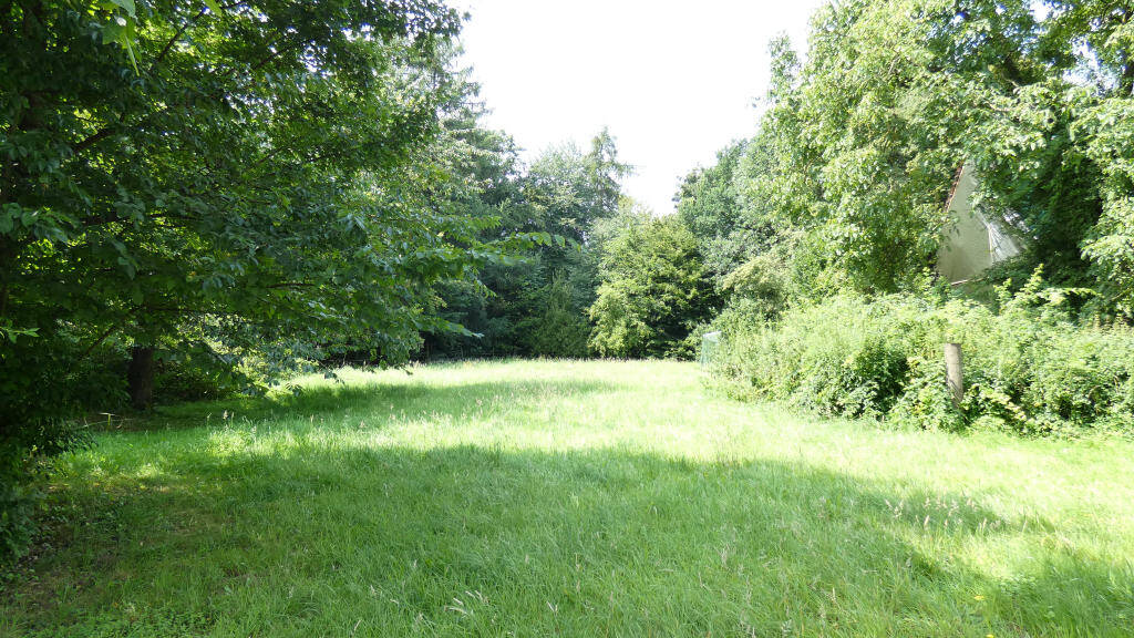 Bild 11
