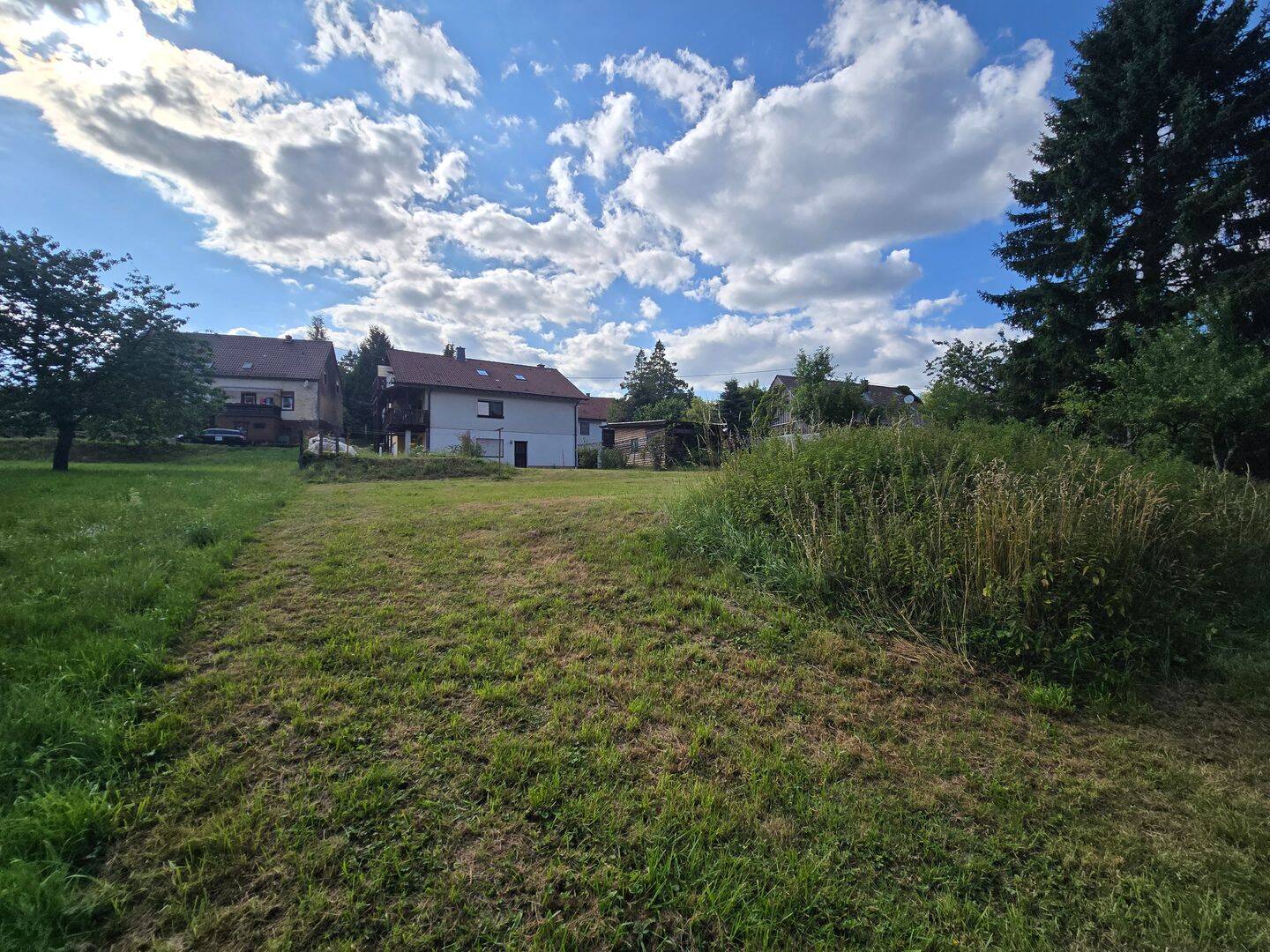Bild 7