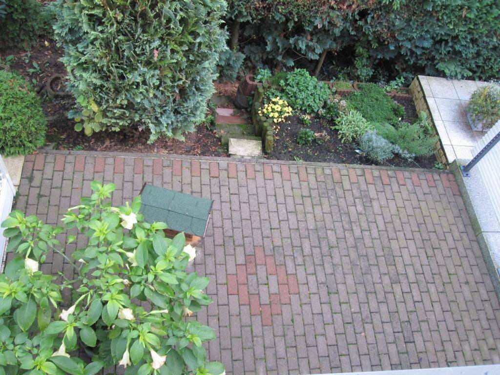 Bild 4