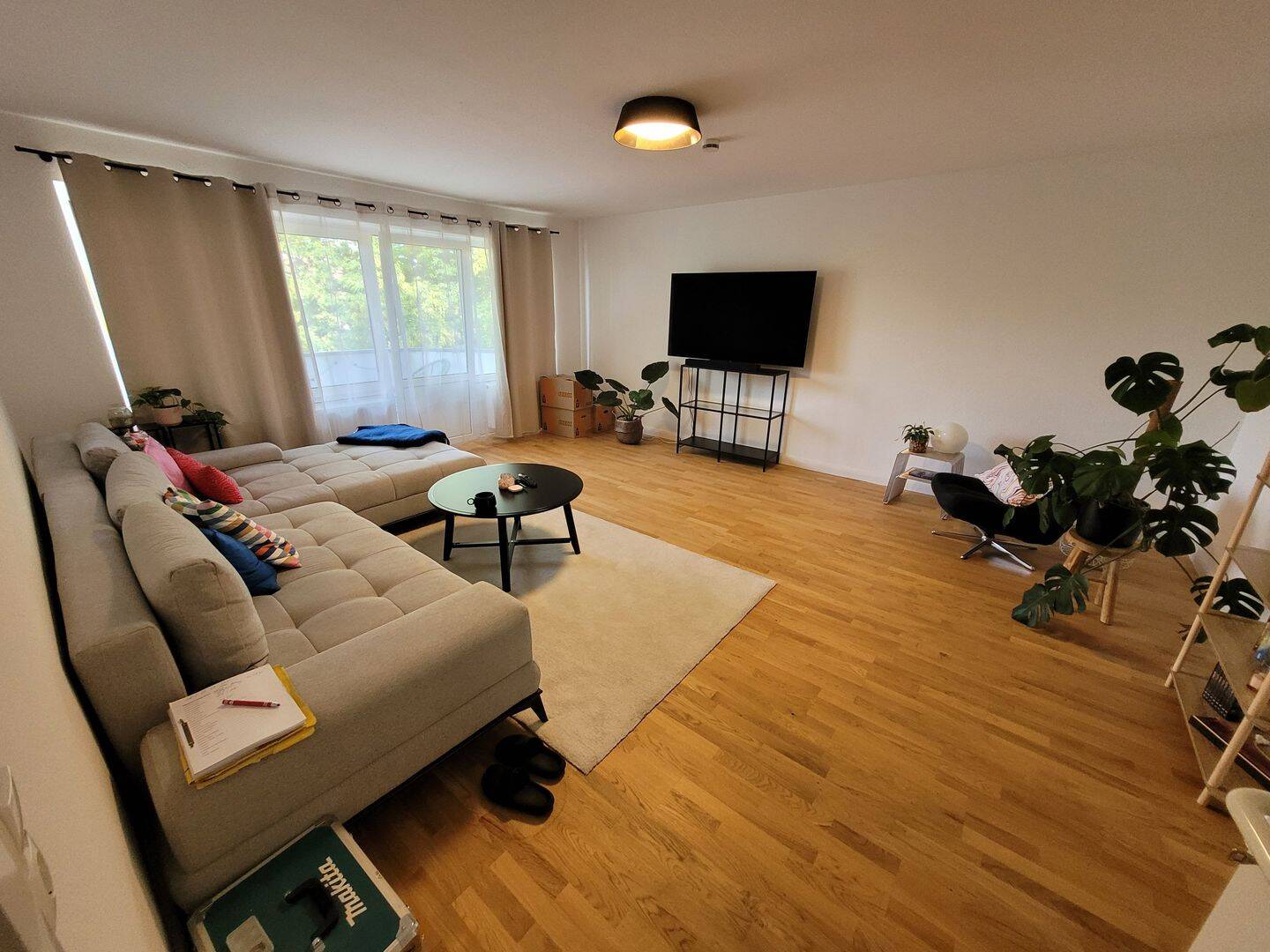 Bild 5