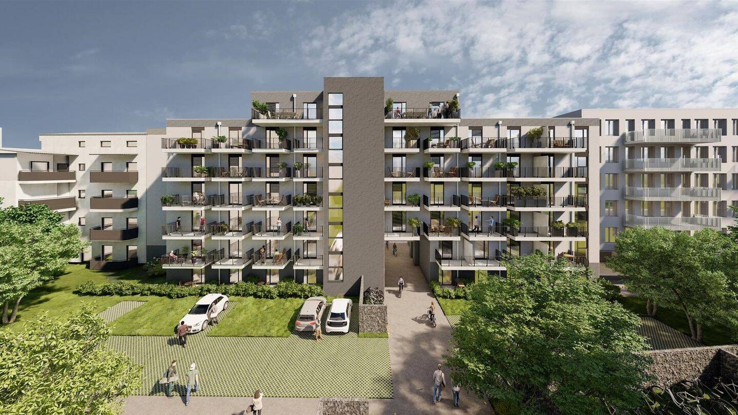 Bild 19