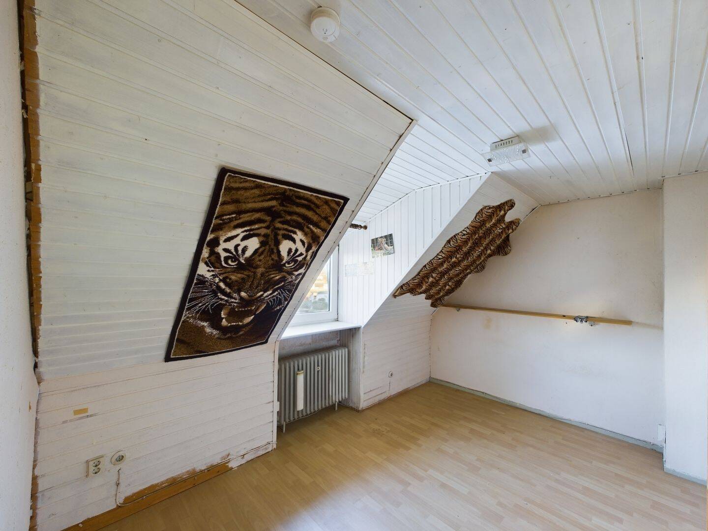 Bild 19