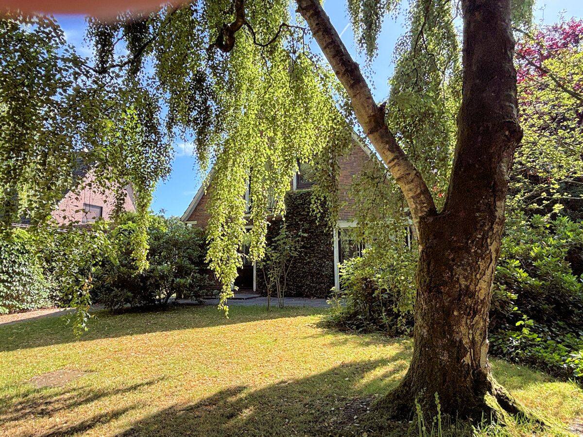 Bild 7
