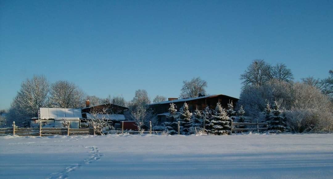 Bild 7