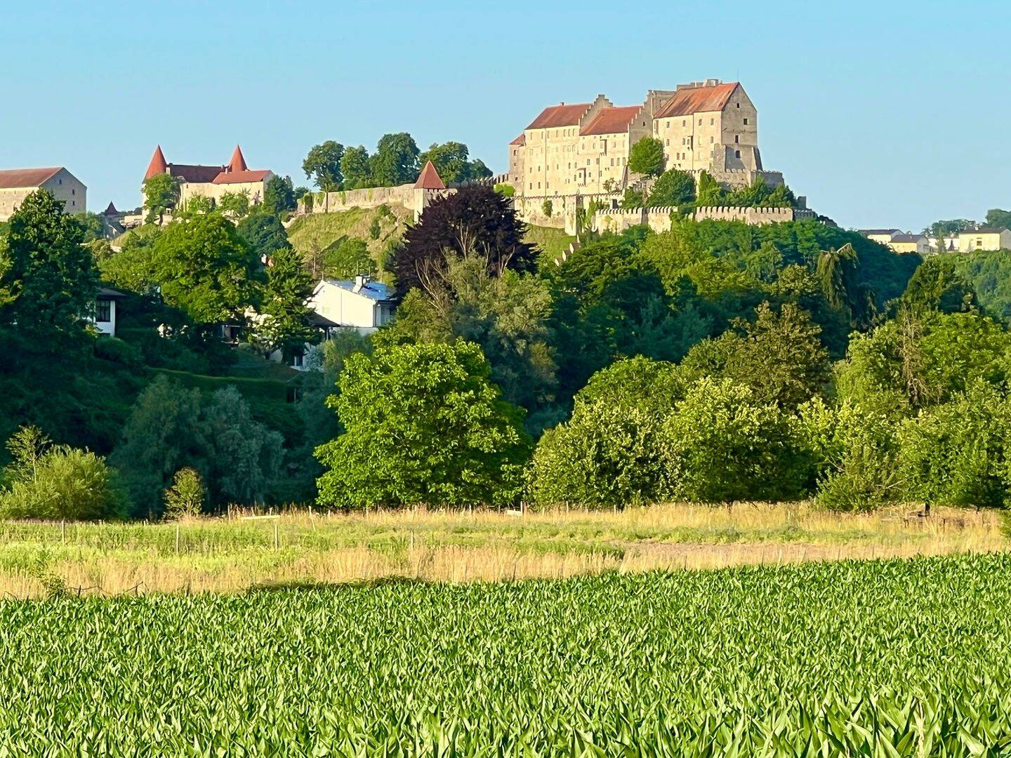 Bild 11