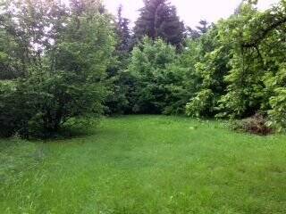 image-67098852