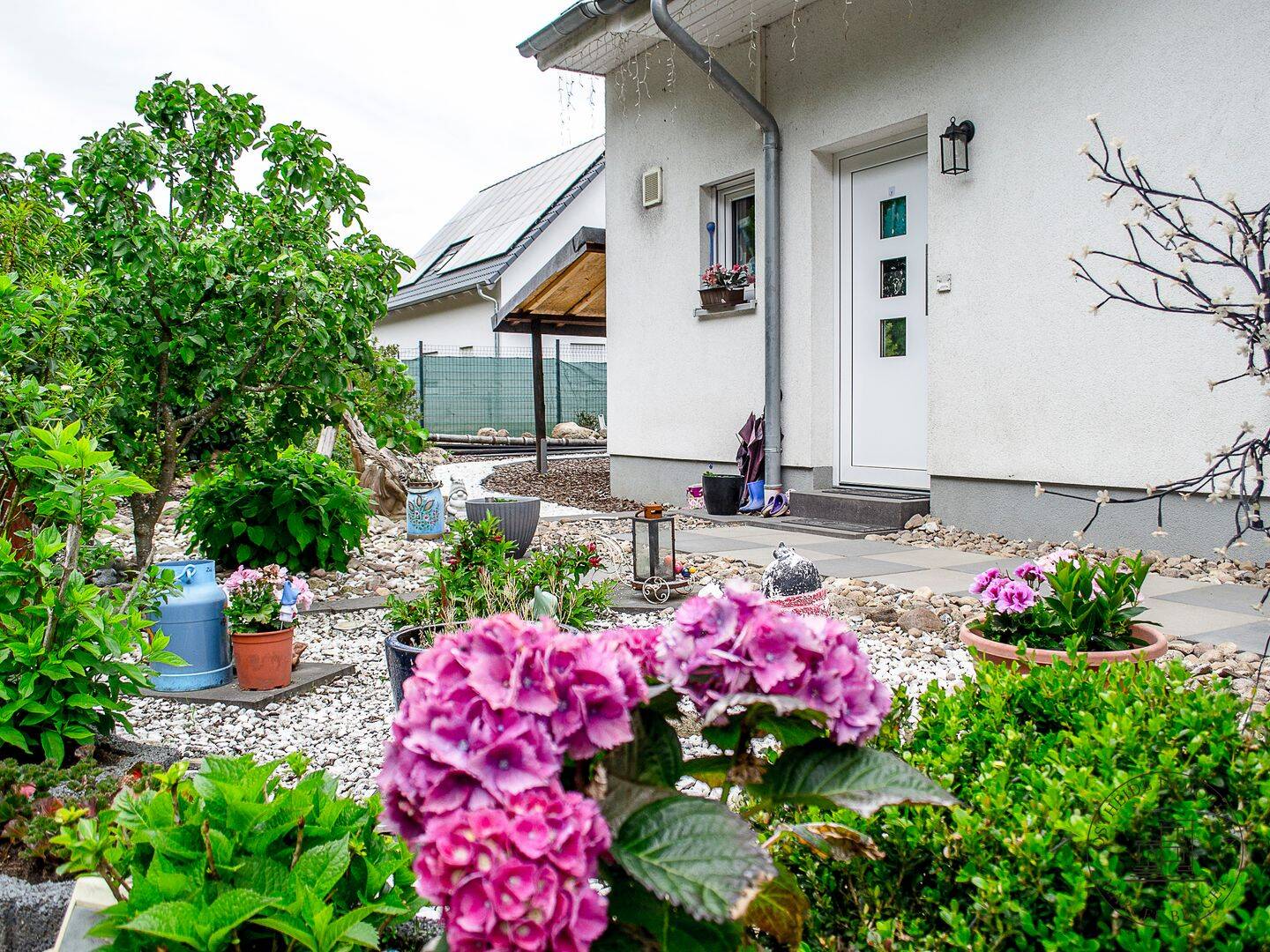 Bild 5