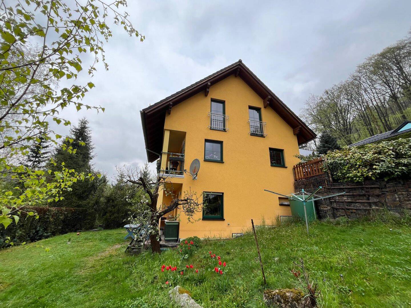 Bild 5