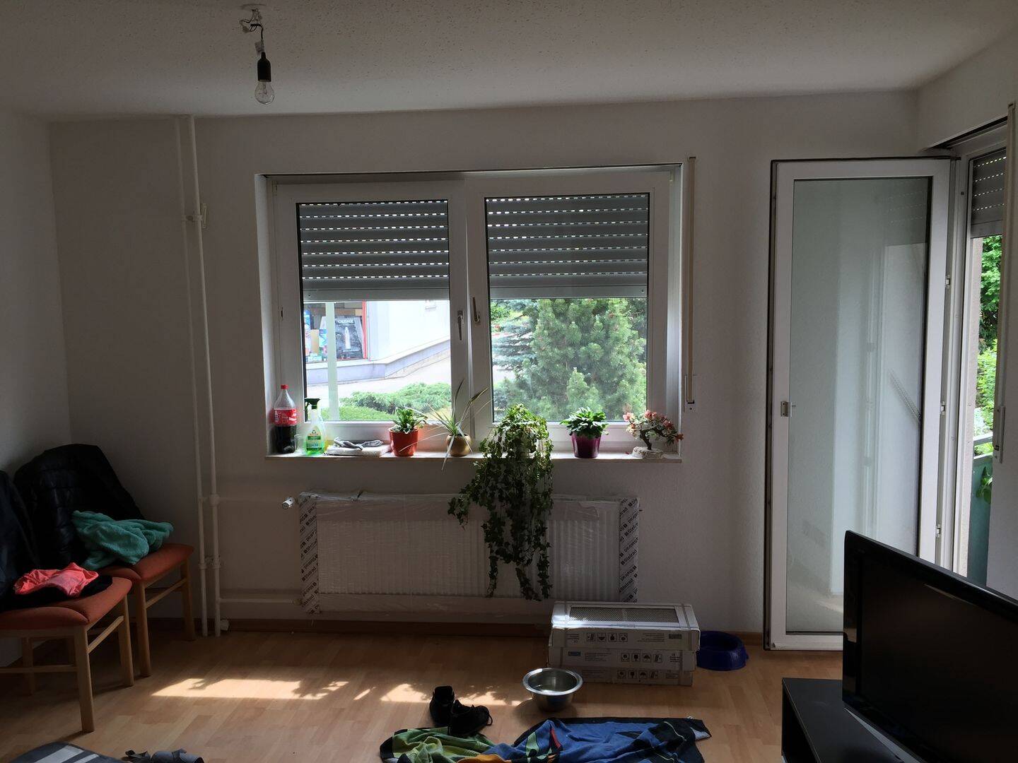 Bild 5
