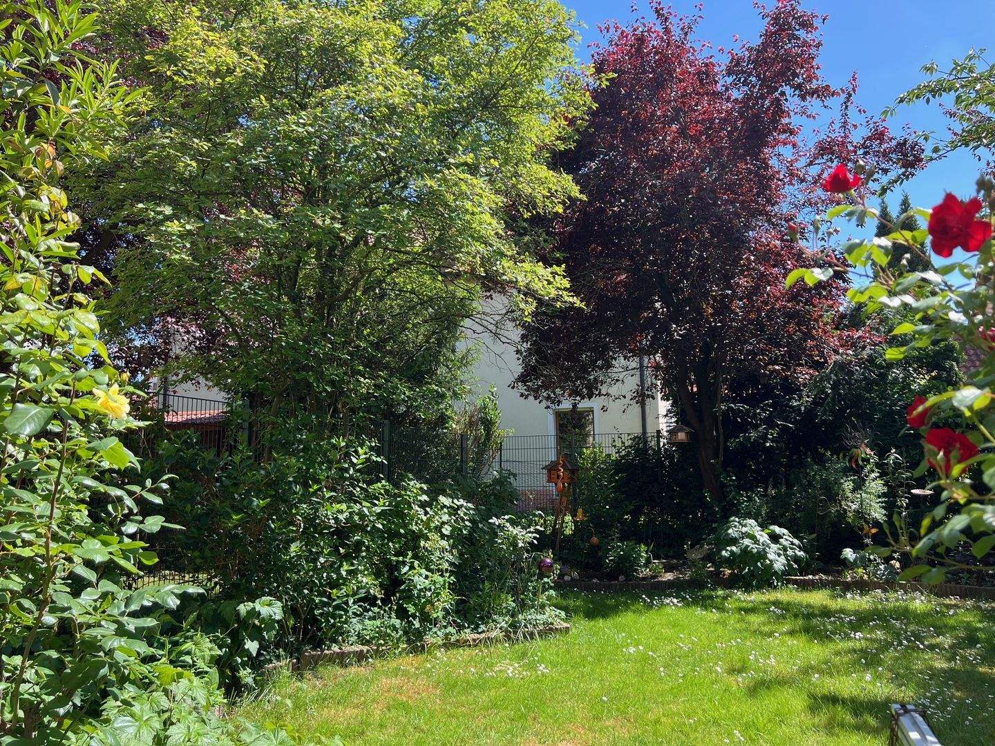 Bild 7