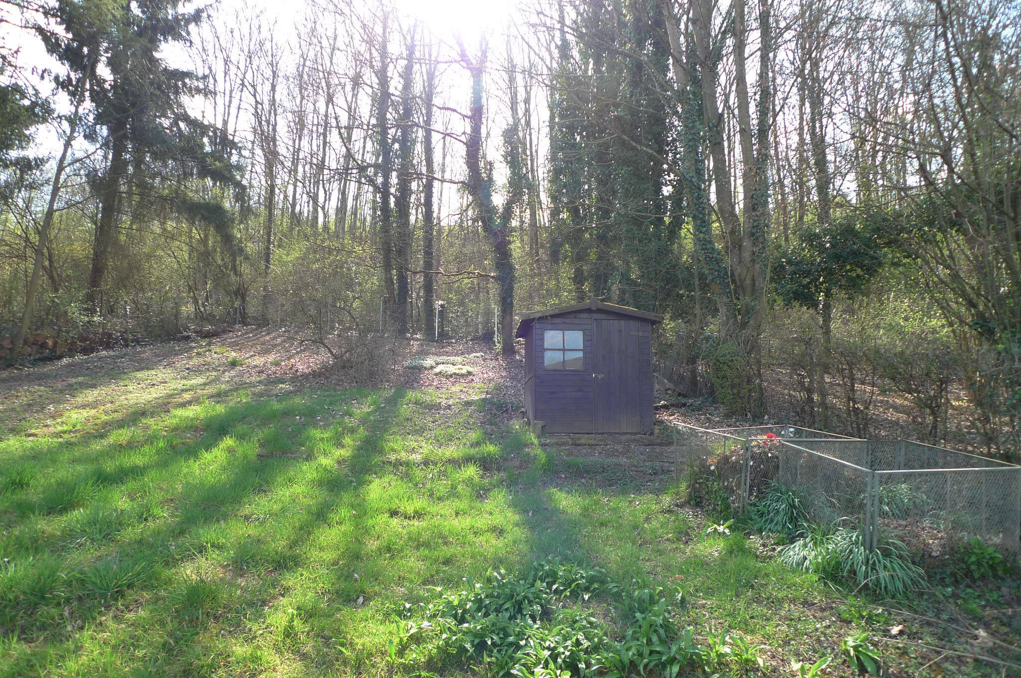 Bild 4