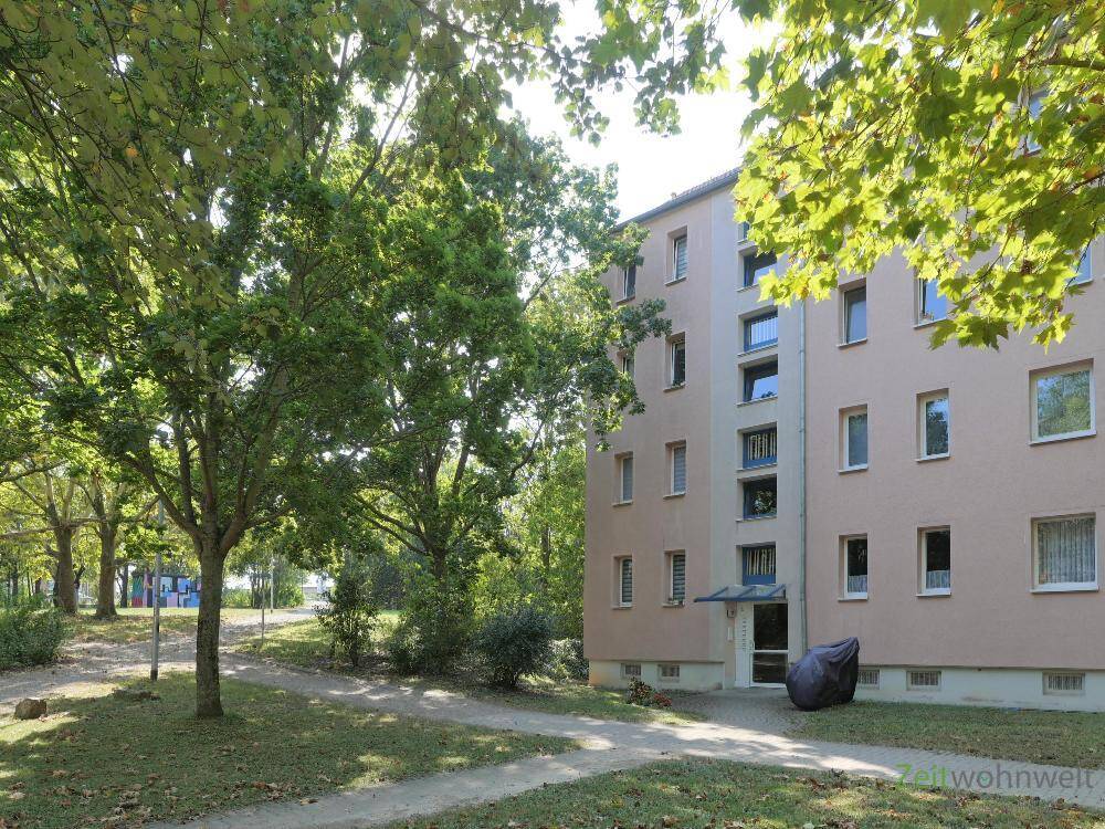 Bild 8