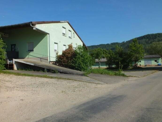 Bild 15