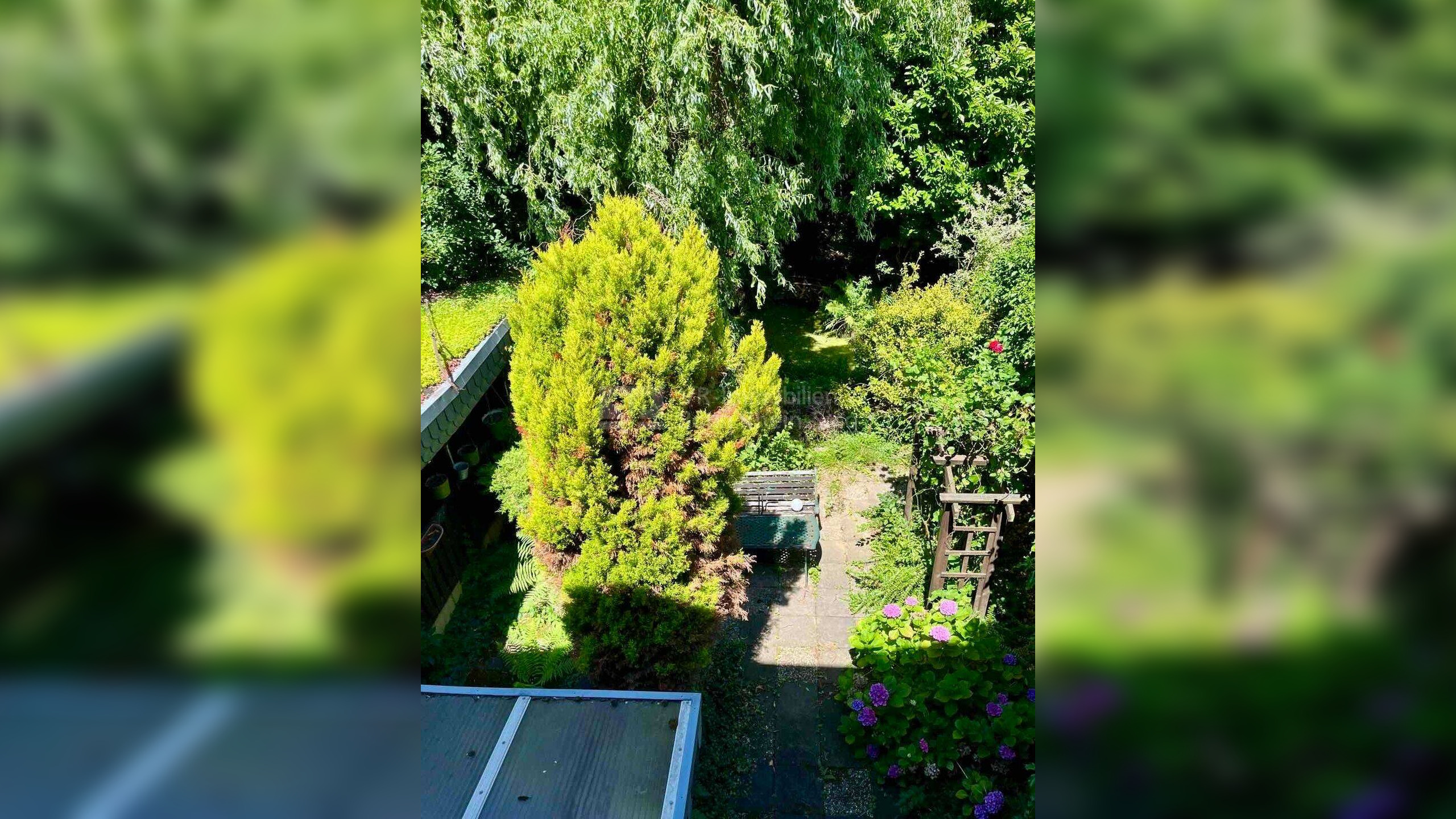 Bild 6
