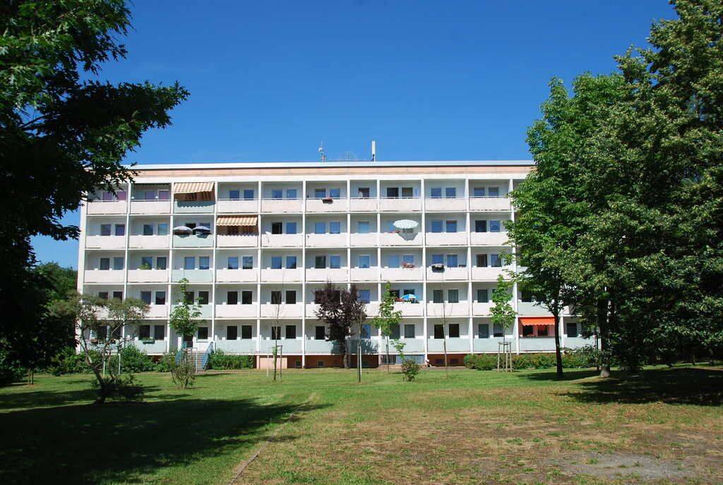 Bild 5