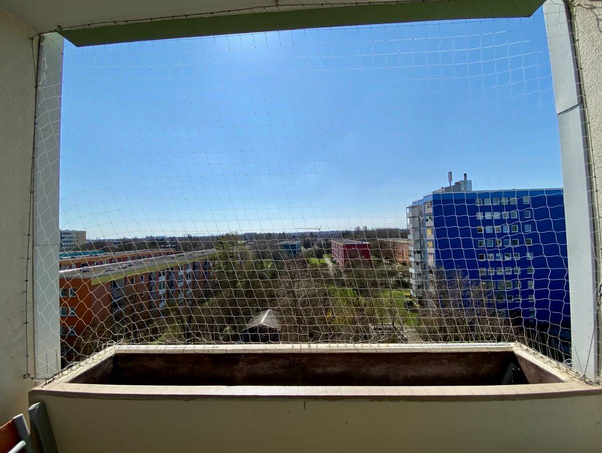 Bild 6