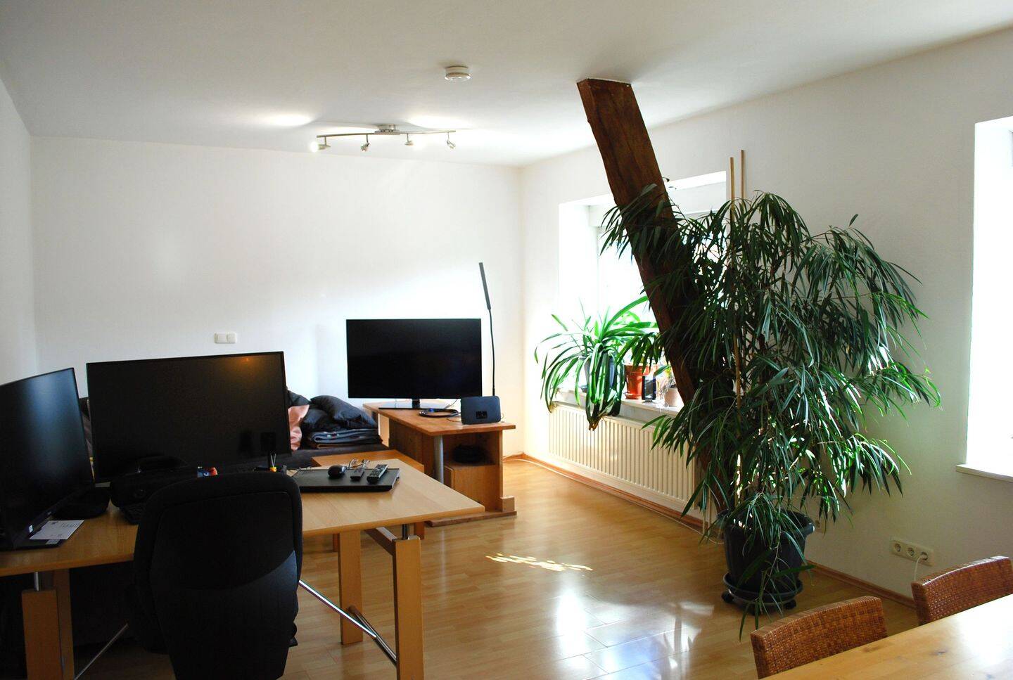 Bild 5
