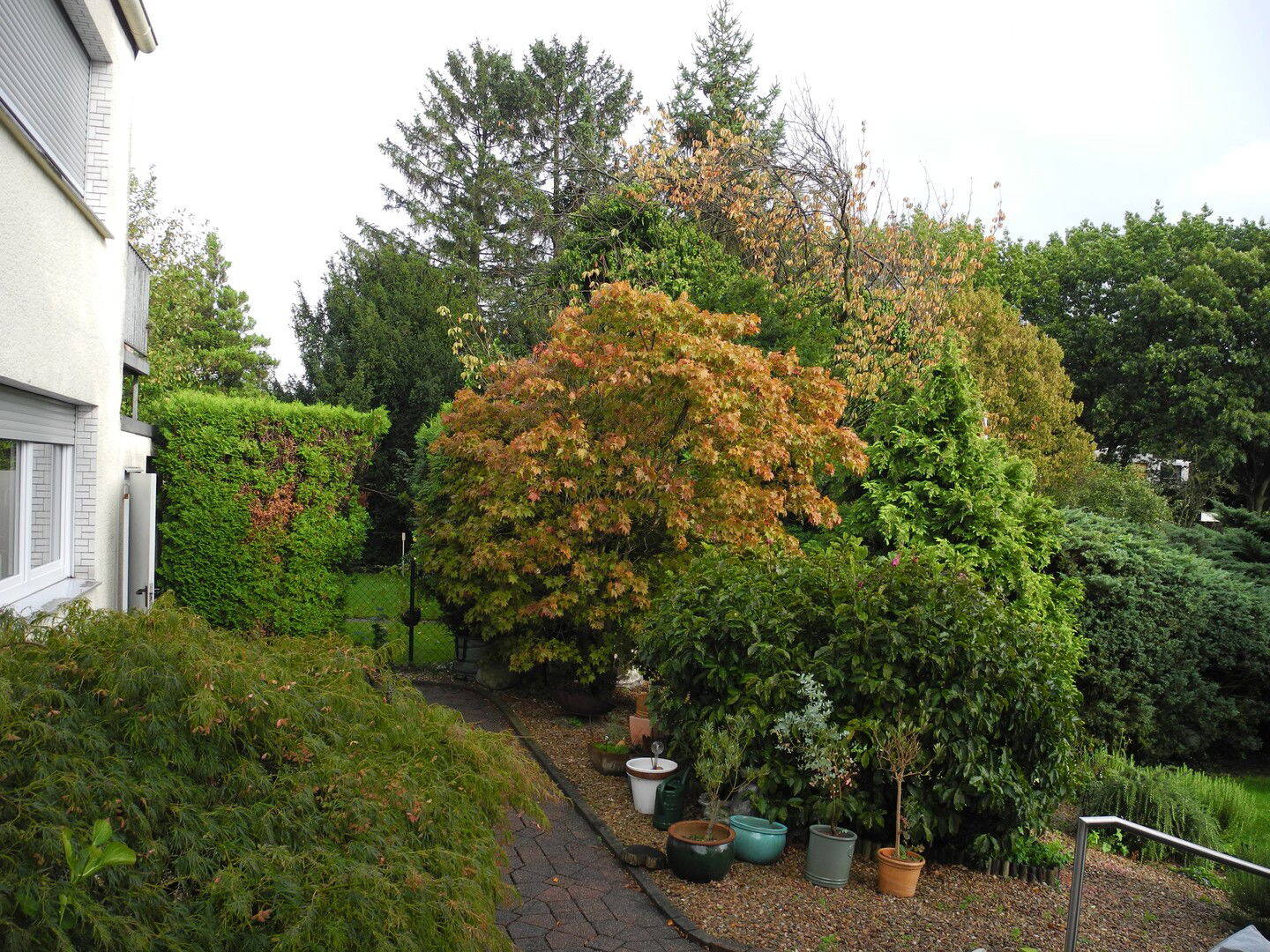 Bild 10
