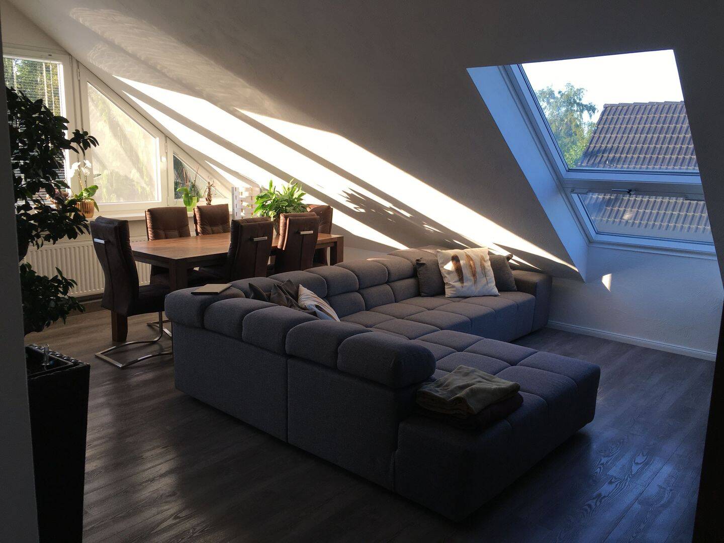 Bild 5