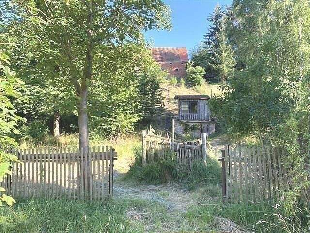 Bild 7