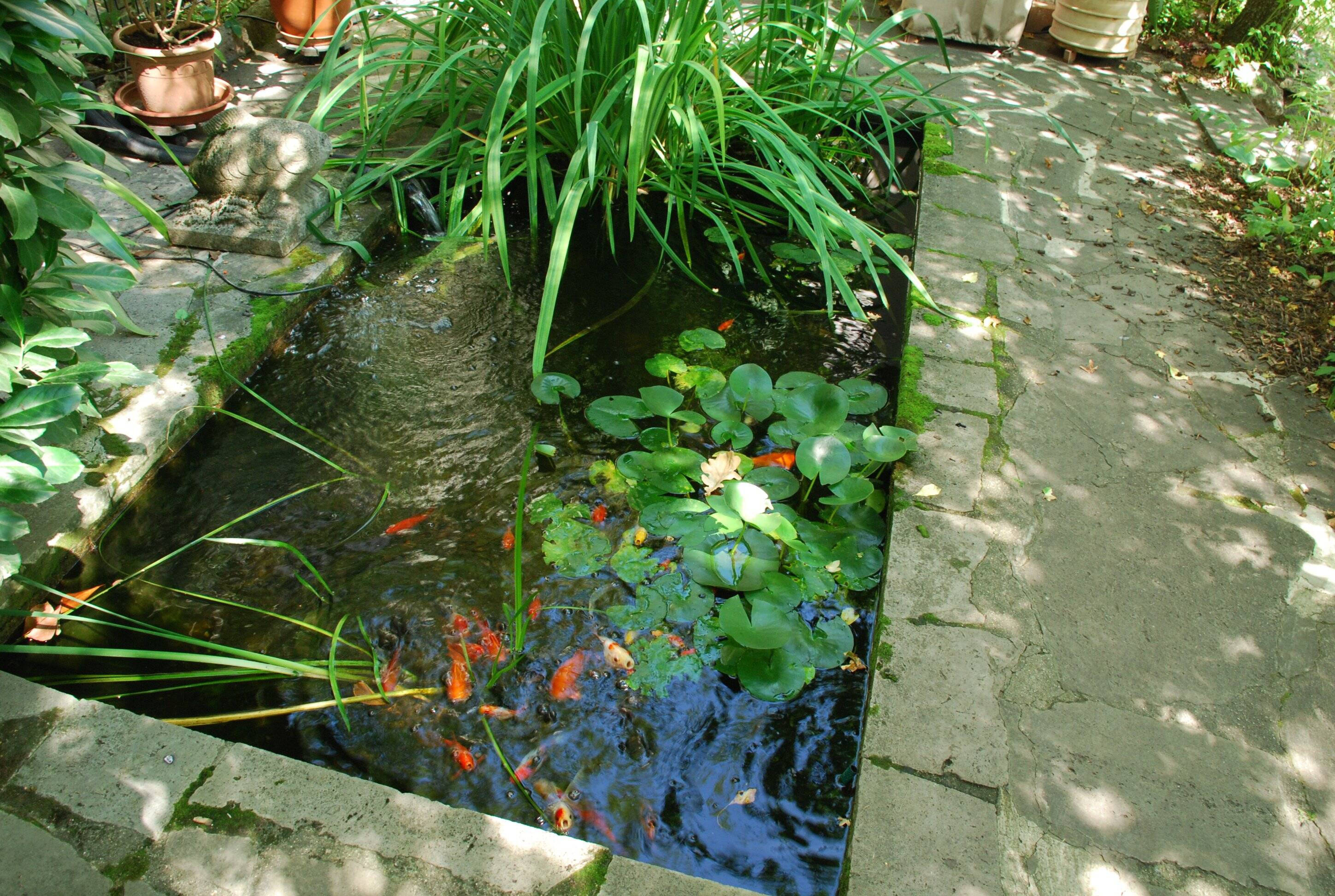 Bild 8