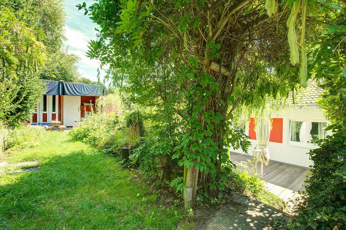 Bild 11