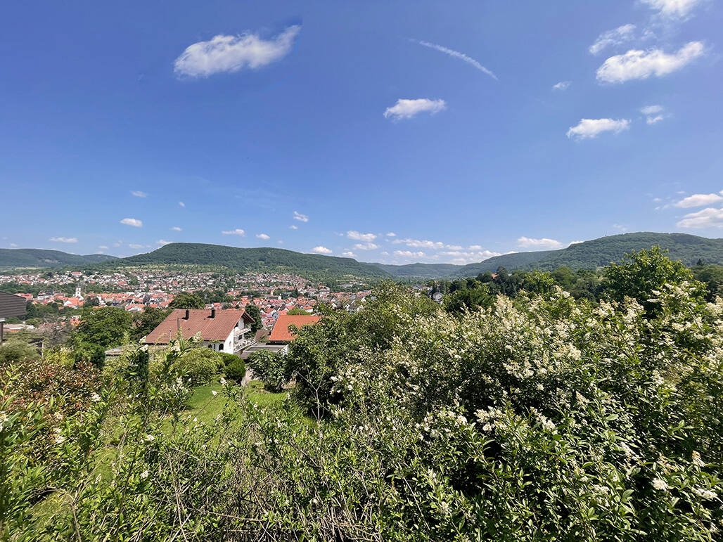 Bild 16
