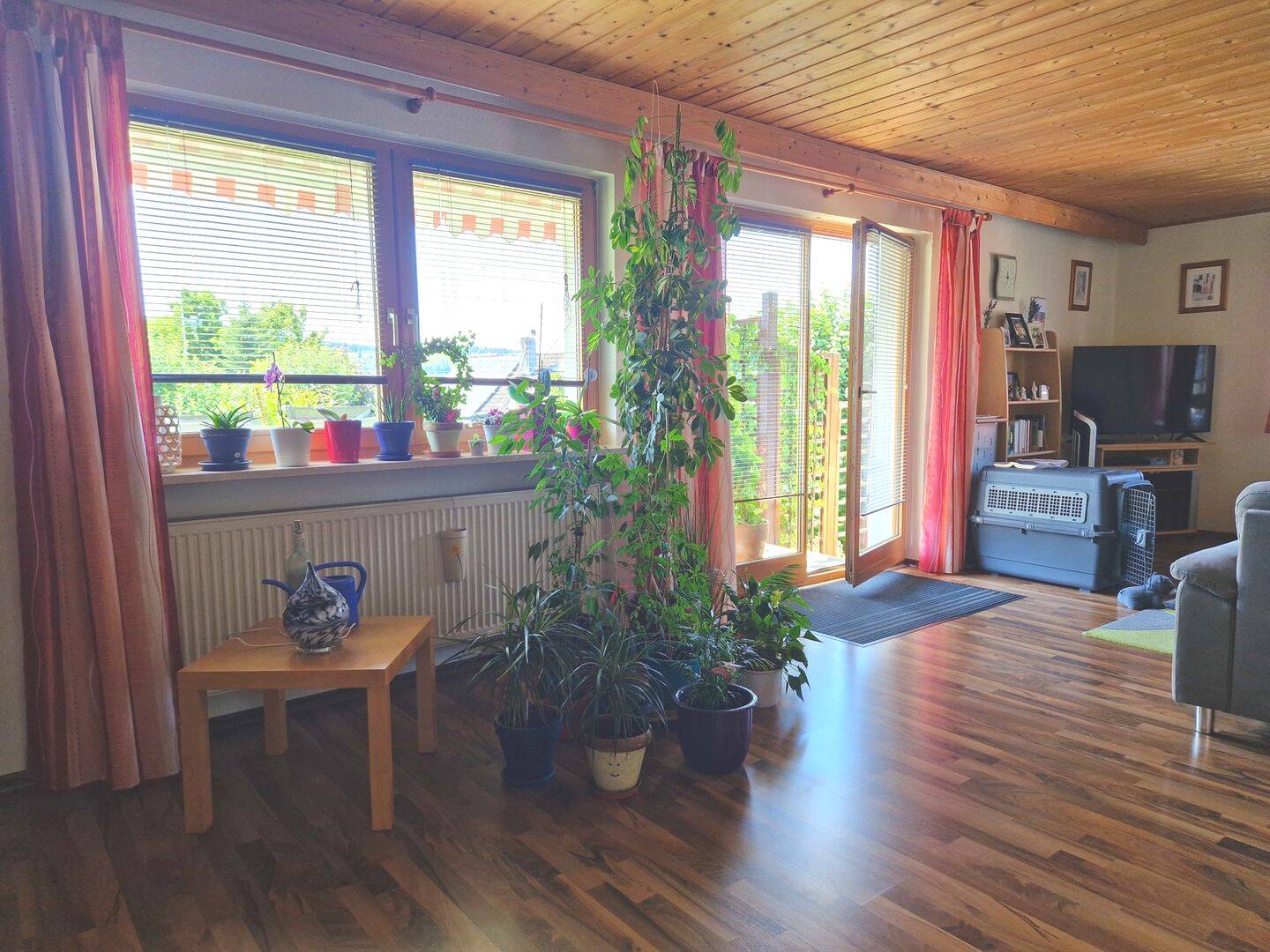 Bild 11