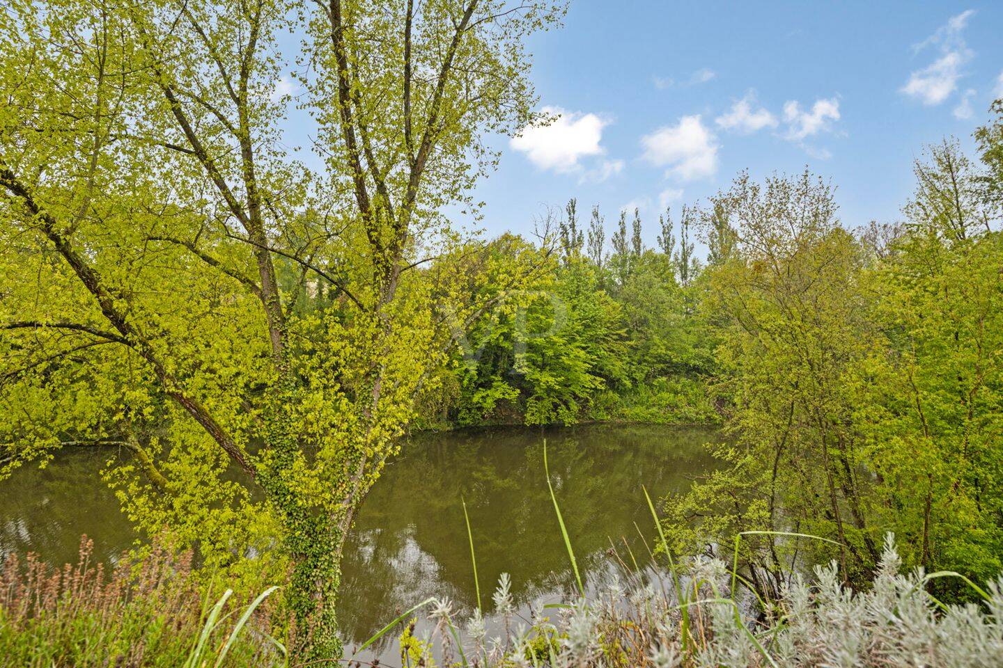 Bild 8