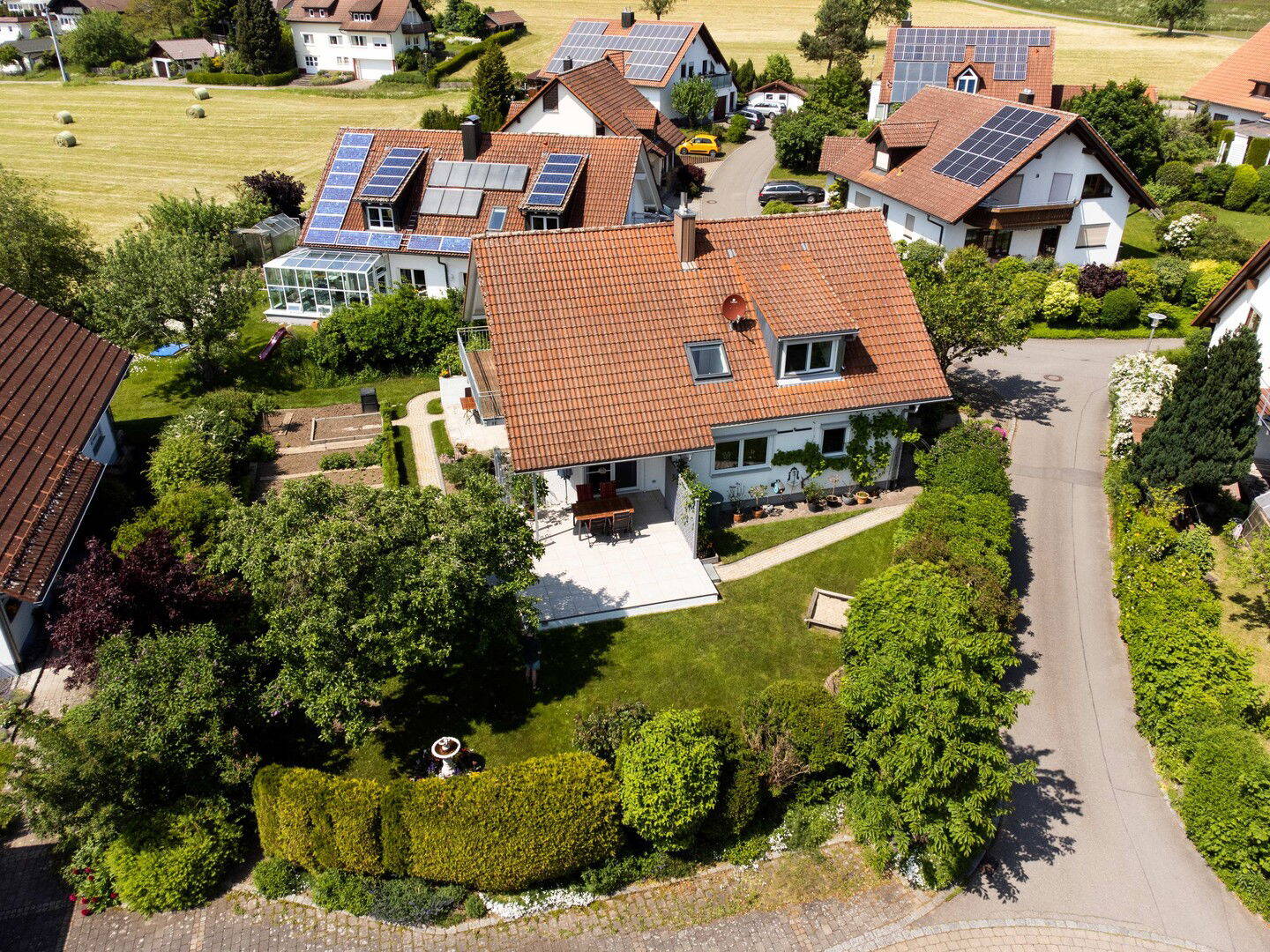Bild 7